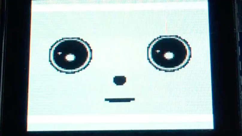 Robot Mirroring